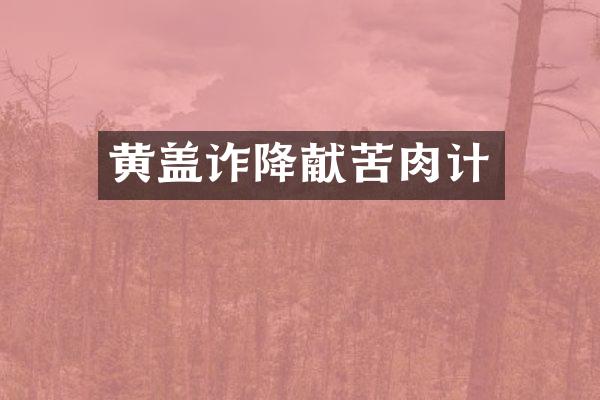 黄盖诈降献苦肉计