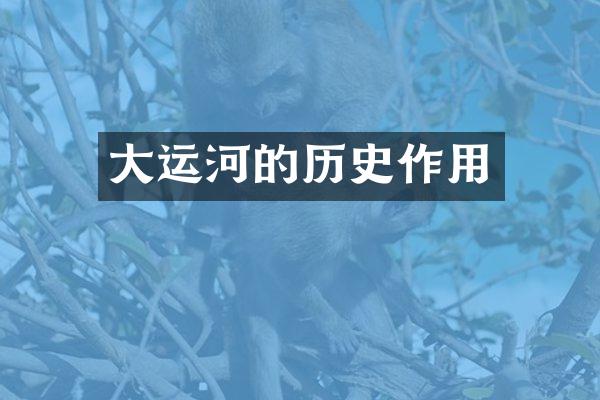 大运河的历史作用
