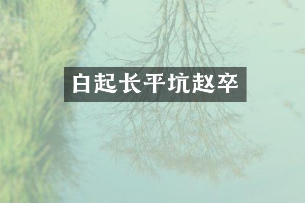 白起长平坑赵卒