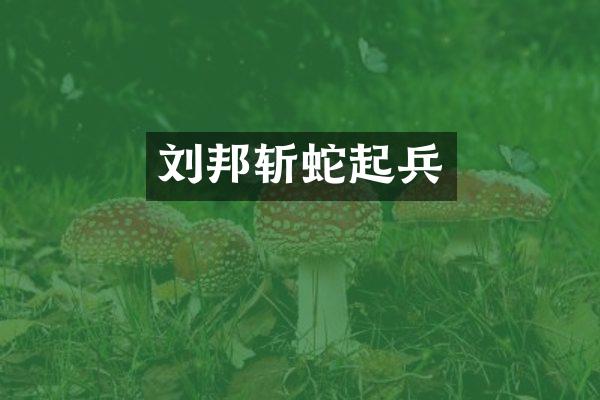 刘邦斩蛇起兵