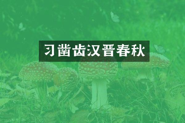 习凿齿汉晋春秋