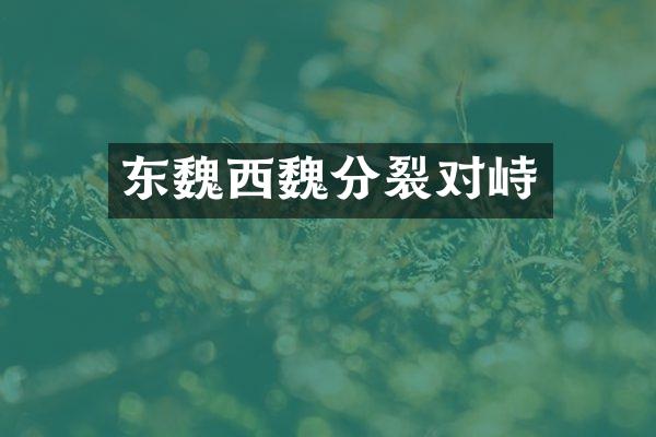东魏西魏分裂对峙