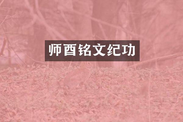 师酉铭文纪功