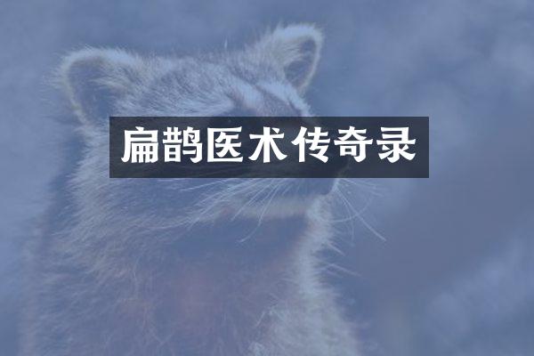 扁鹊医术传奇录