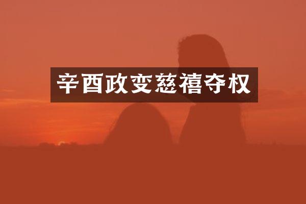 辛酉政变慈禧夺权