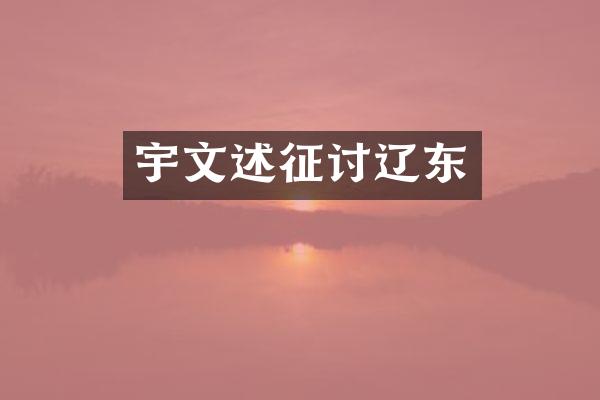 宇文述征讨辽东