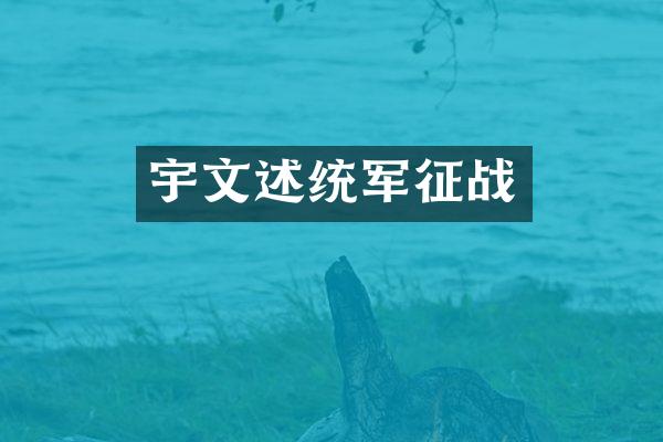 宇文述统军征战