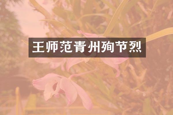 王师范青州殉节烈