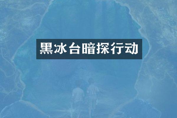 黑冰台暗探行动