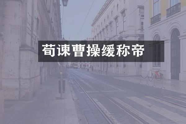 荀彧谏曹操缓称帝