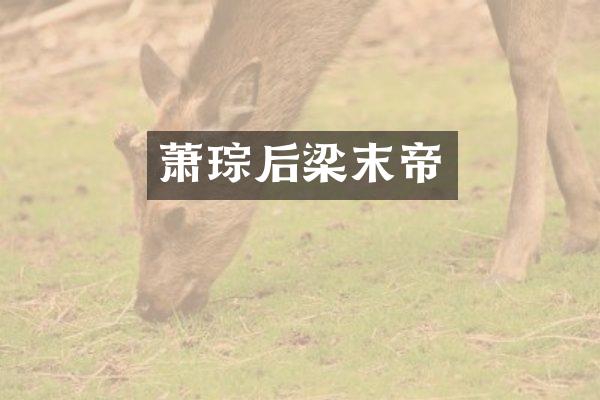 萧琮后梁末帝