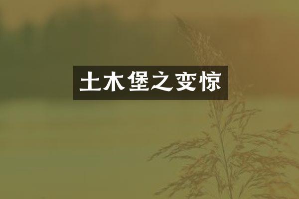 土木堡之变惊