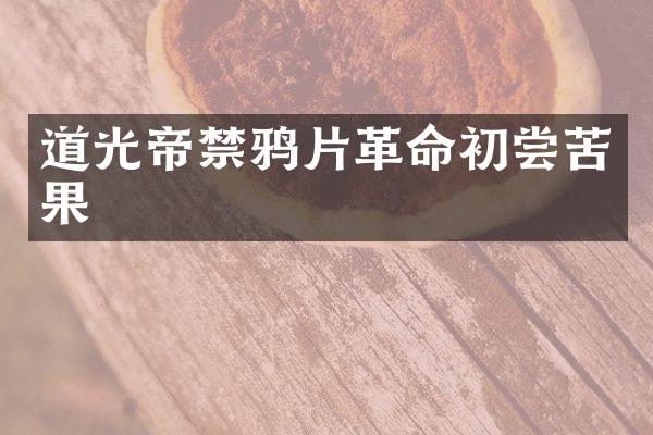 道光帝禁革命初尝苦果