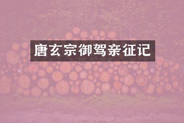 唐玄宗御驾亲征记