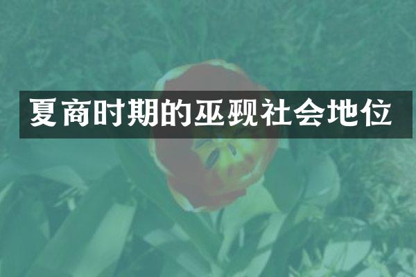 夏商时期的巫觋社会地位