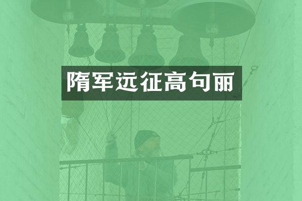 隋军远征高句丽