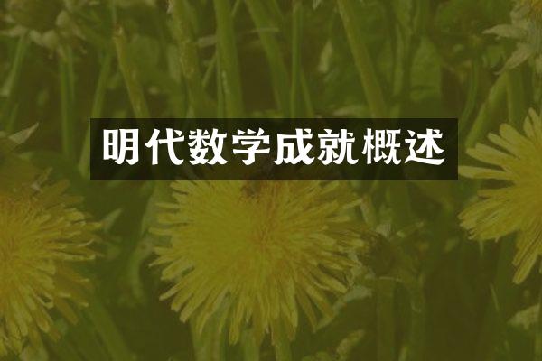 明代数学成就概述