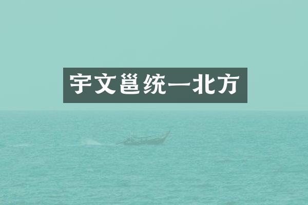 宇文邕统一北方