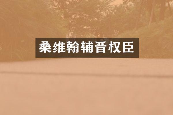 桑维翰辅晋权臣