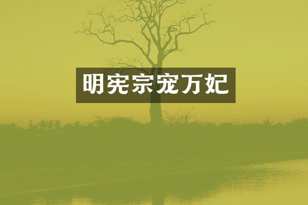 明宪宗宠万妃