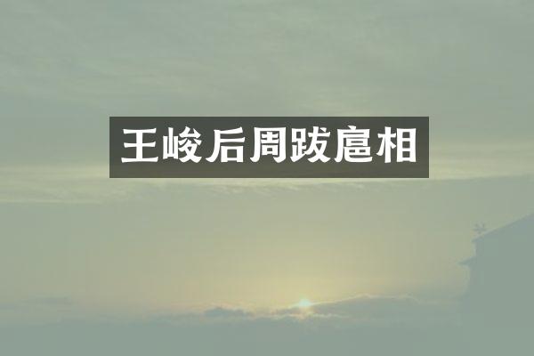 王峻后周跋扈相