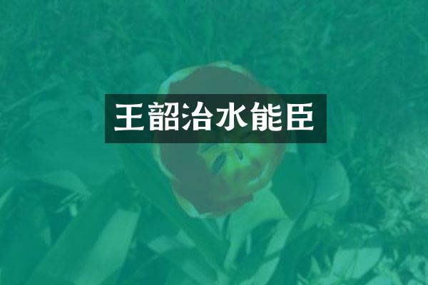 王韶治水能臣