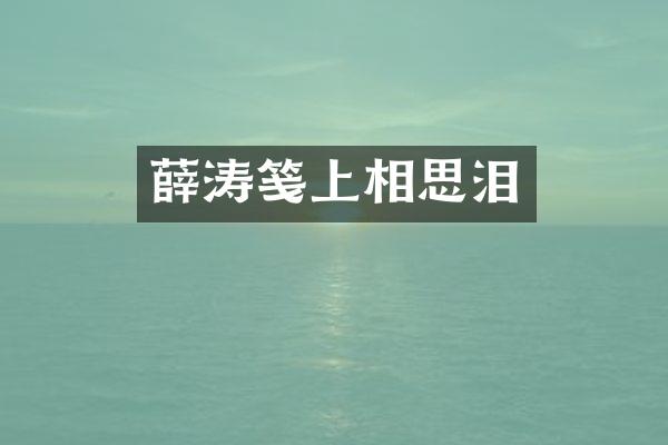 薛涛笺上相思泪