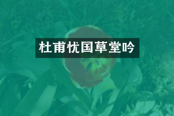 杜甫忧国草堂吟