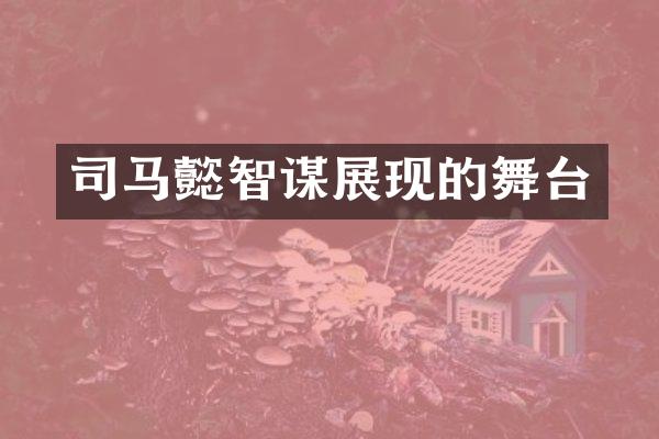 司马懿智谋展现的舞台