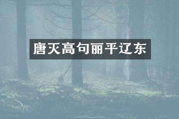 唐灭高句丽平辽东