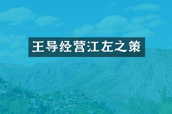 王导经营江左之策