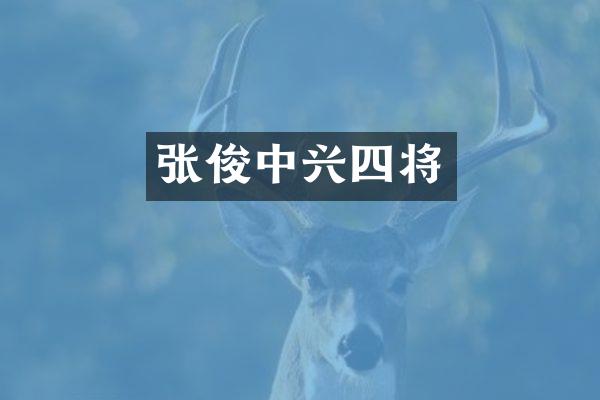 张俊中兴四将