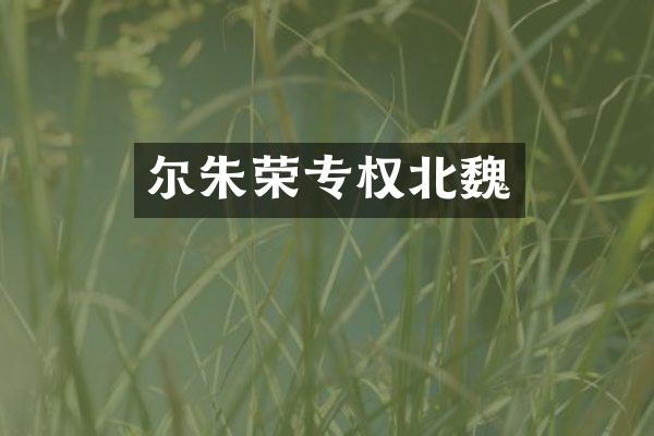 尔朱荣专权北魏