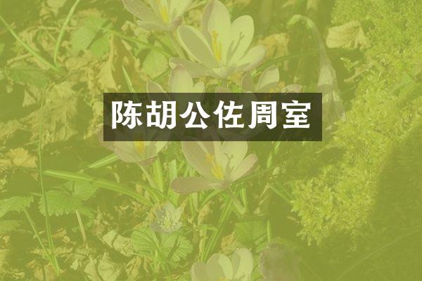 陈胡公佐周室