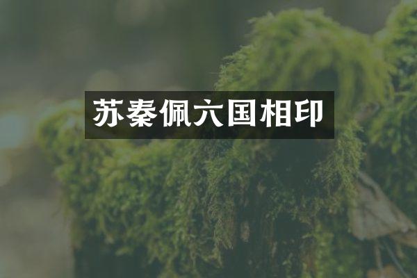苏秦佩六国相印