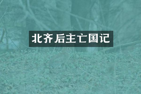 北齐后主亡国记