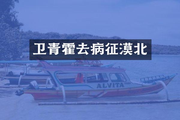 卫青霍去病征漠北