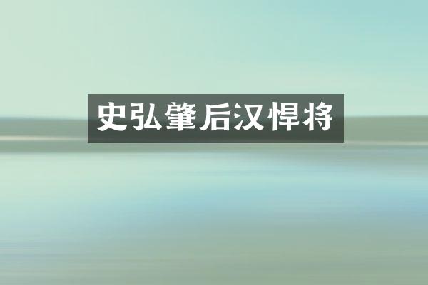 史弘肇后汉悍将