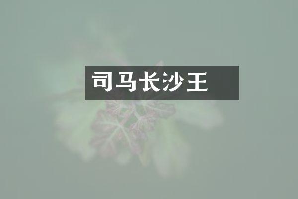 司马乂长沙王
