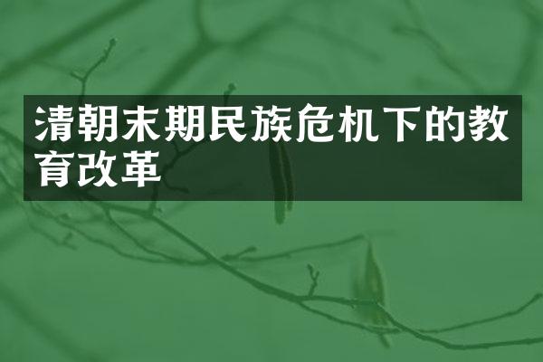 清朝末期民族危机下的教育改革