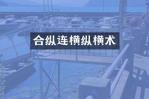 合纵连横纵横术