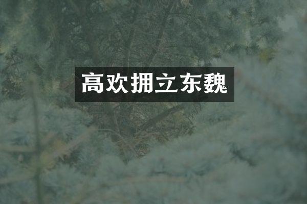 高欢拥立东魏