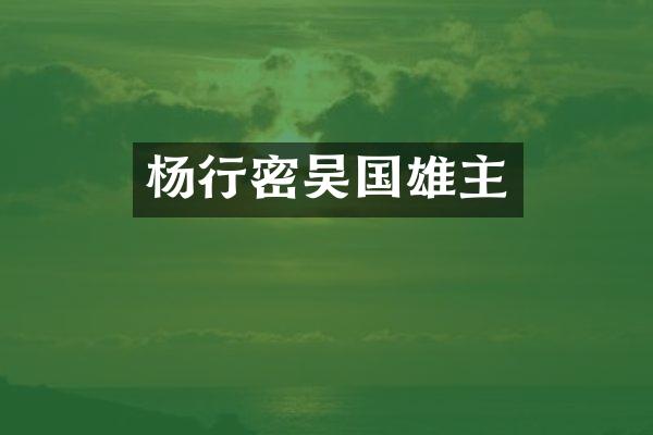 杨行密吴国雄主