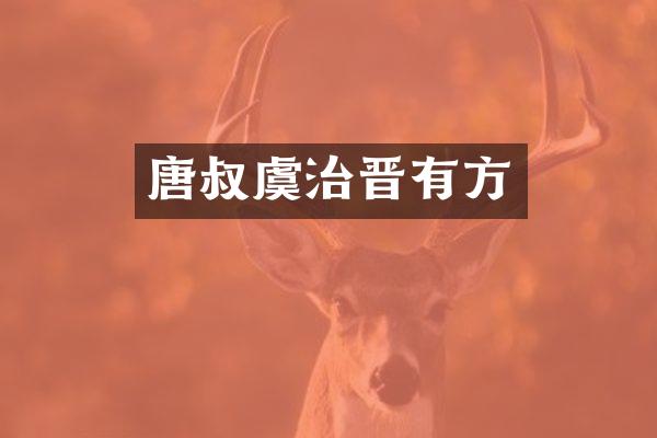 唐叔虞治晋有方