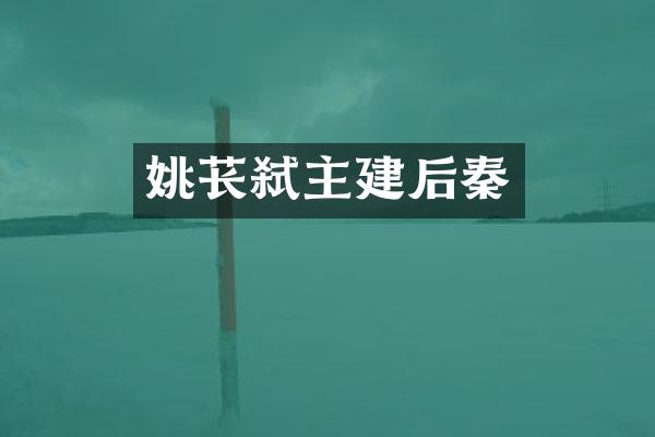 姚苌弑主建后秦
