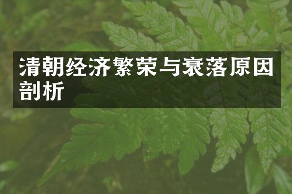 清朝经济繁荣与衰落原因剖析