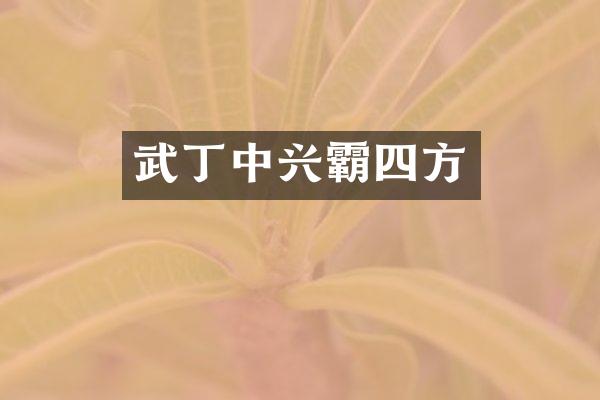 武丁中兴霸四方