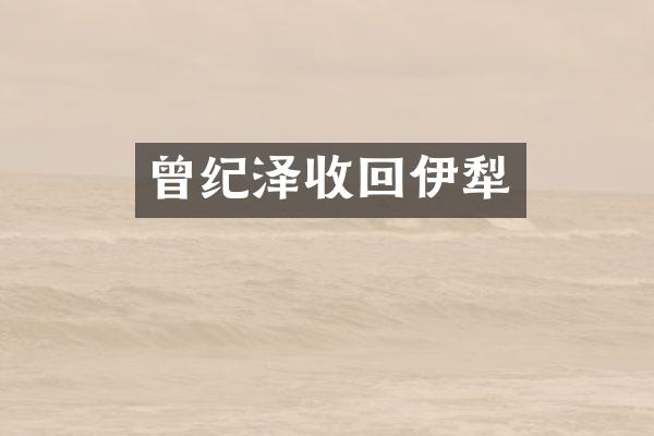 曾纪泽收回伊犁