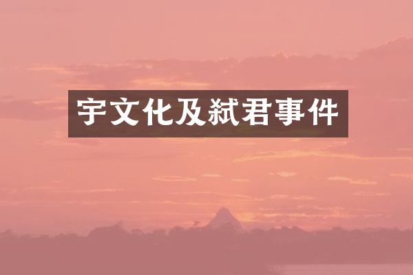 宇文化及弑君事件