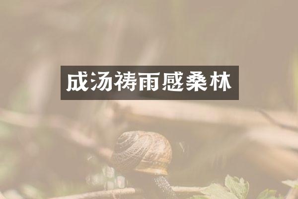 成汤祷雨感桑林